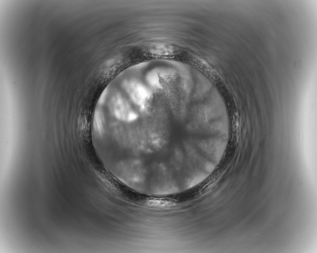 X0000084530614200703161609