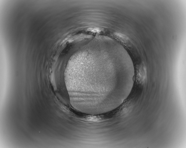 X0000084530616200703161609