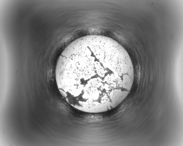 X0000084530619200703161609