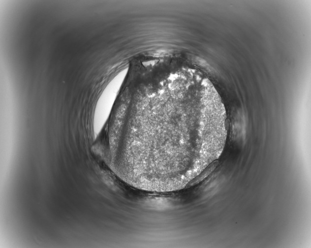 X0000084530620200703161609