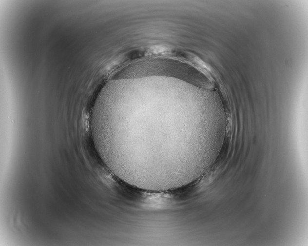 X0000084530621200703161609