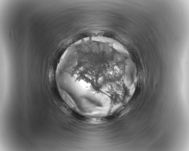 X0000084530623200703161609