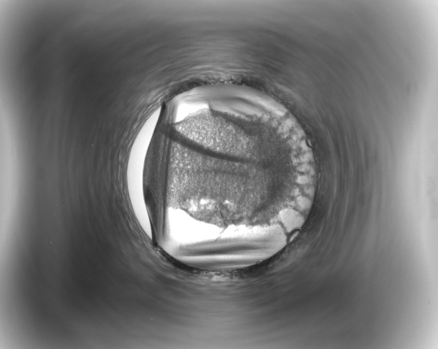 X0000084530624200703161609