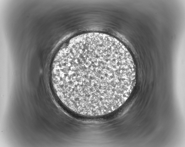 X0000084530625200703161609