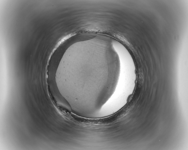 X0000084530626200703161609