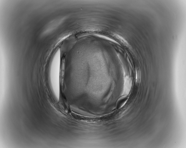 X0000084530627200703161609