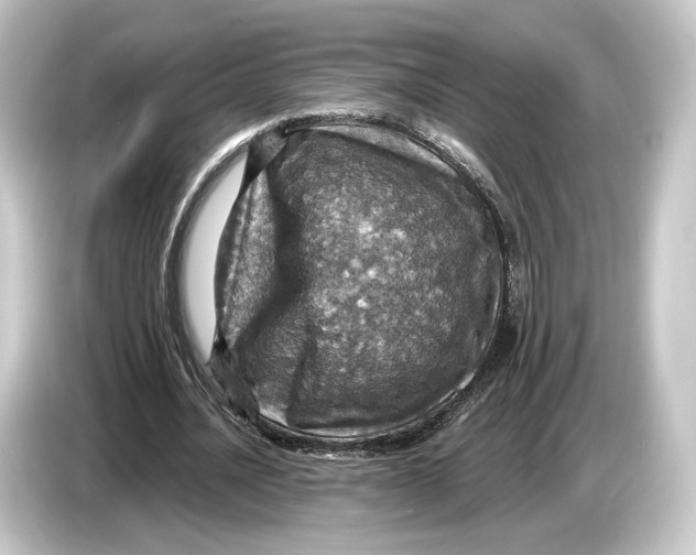 X0000084530628200703161609