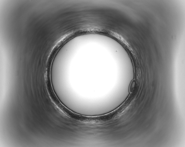 X0000084530629200703161609