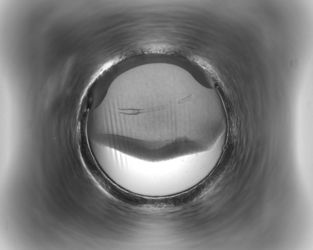 X0000084530630200703161609