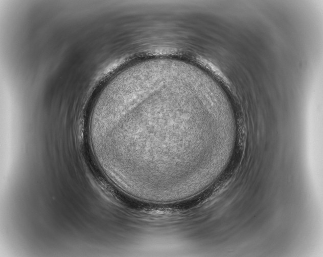 X0000084530631200703161609