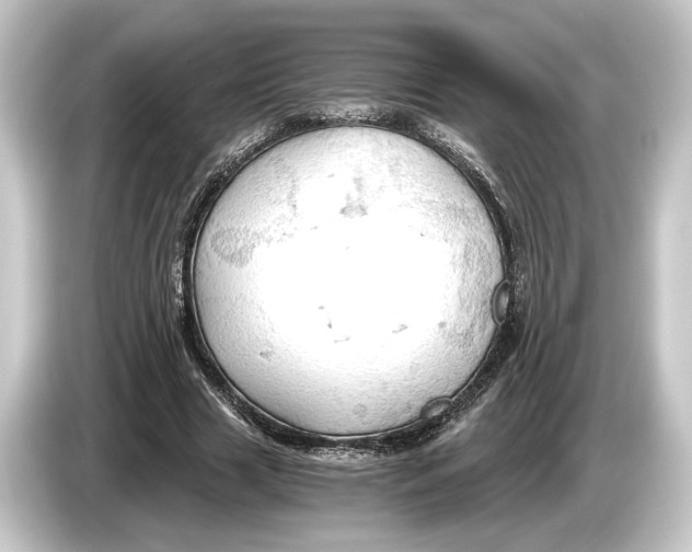 X0000084530633200703161609