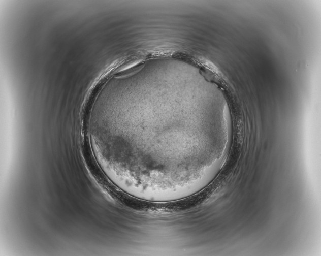 X0000084530634200703161609