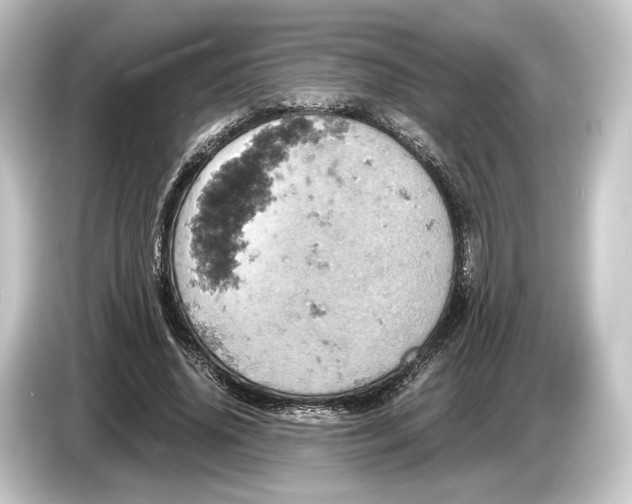 X0000084530636200703161609