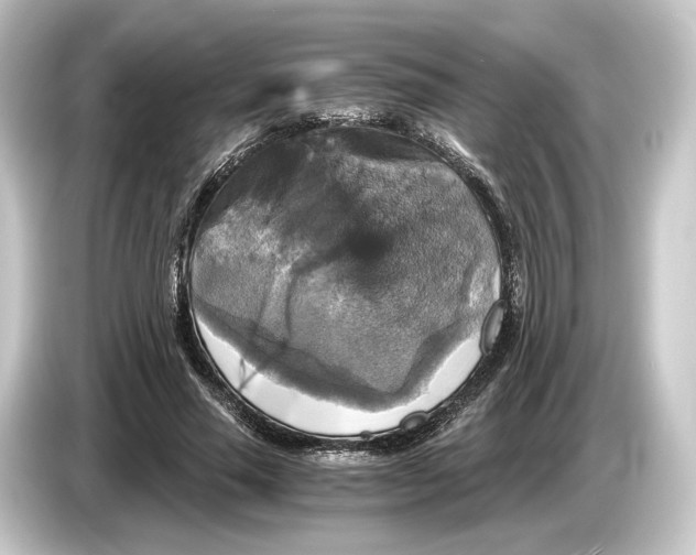 X0000084530637200703161609