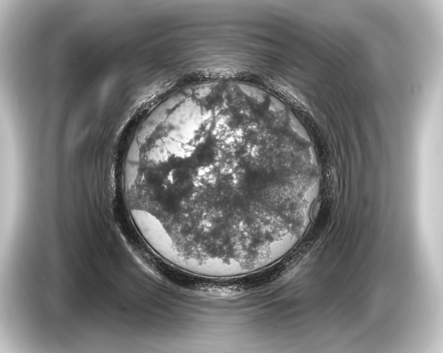 X0000084530638200703161609