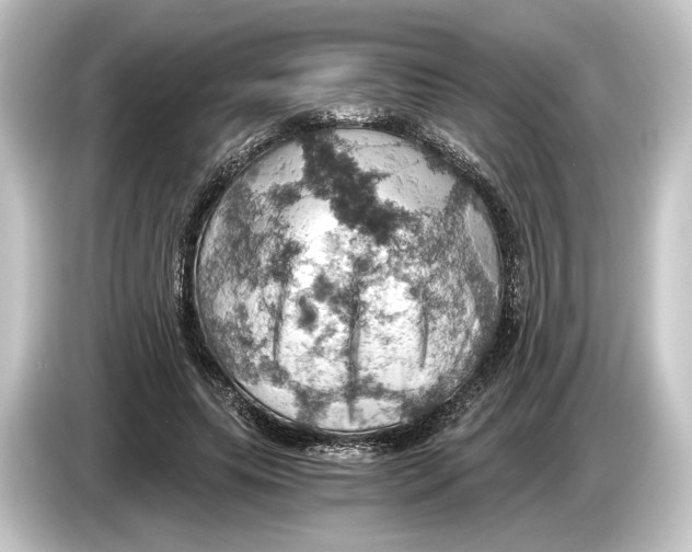 X0000084530639200703161609