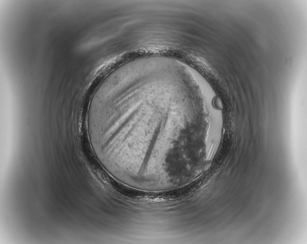 X0000084530640200703161609