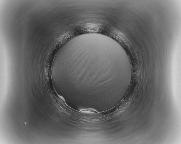 X0000084530641200703161609