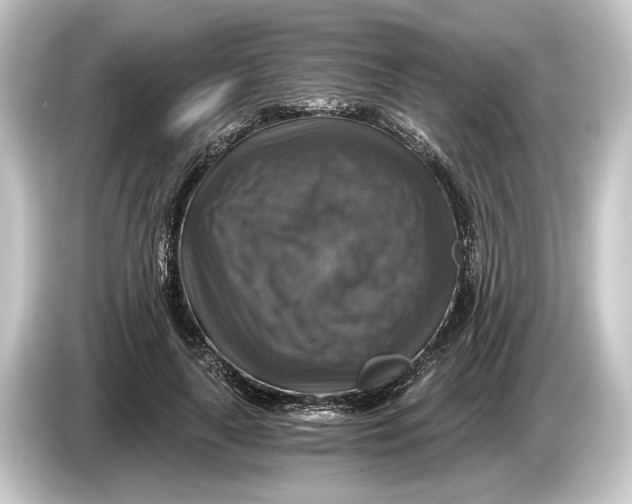 X0000084530643200703161609