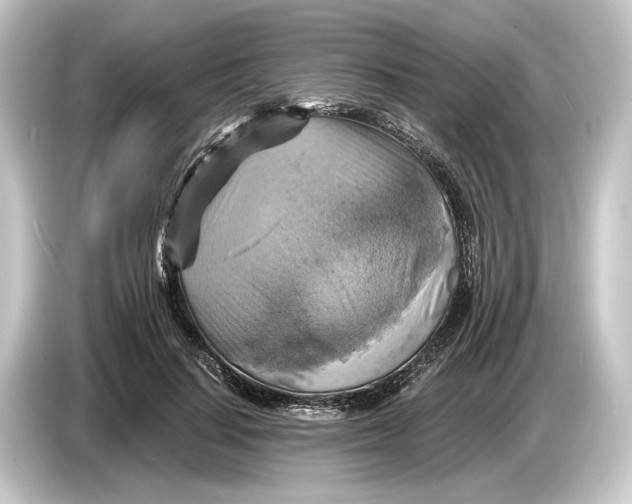 X0000084530644200703161609