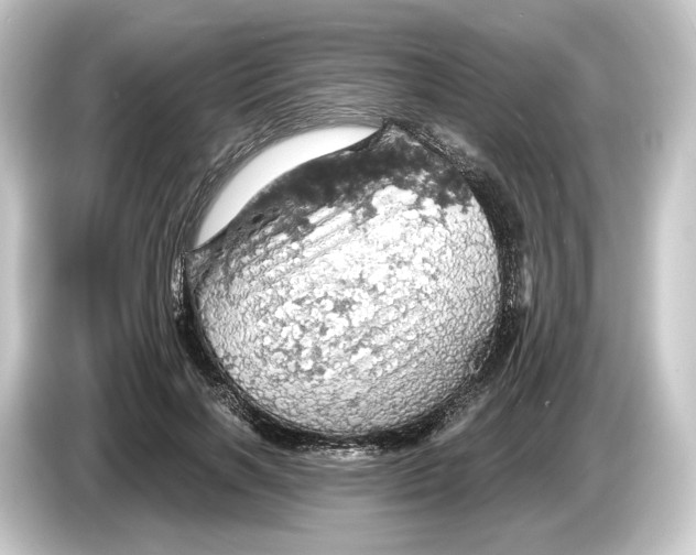 X0000084530646200703161609