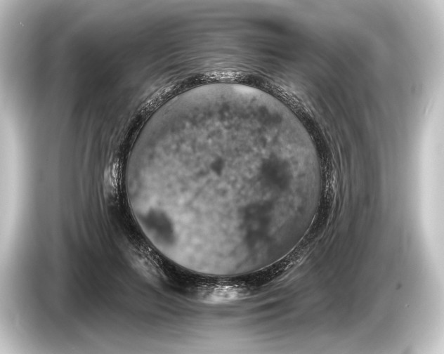 X0000084530647200703161609