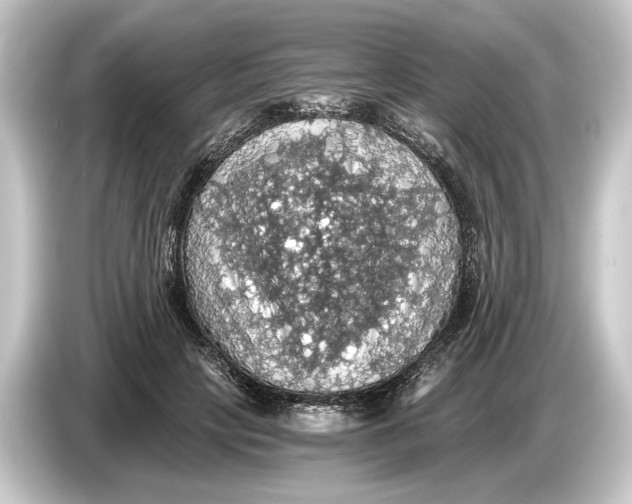 X0000084530649200703161609