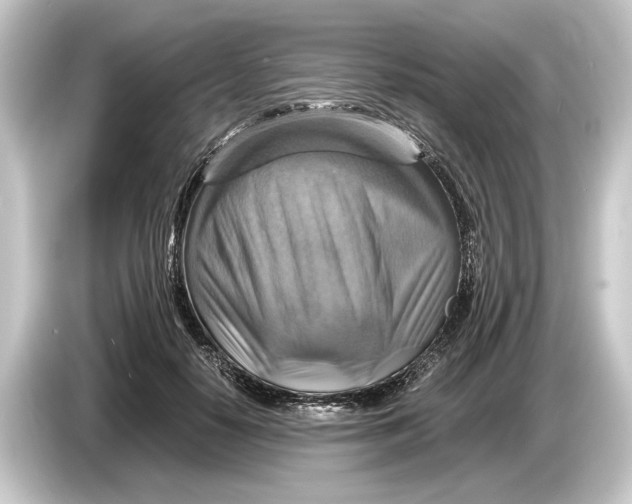 X0000084530650200703161609