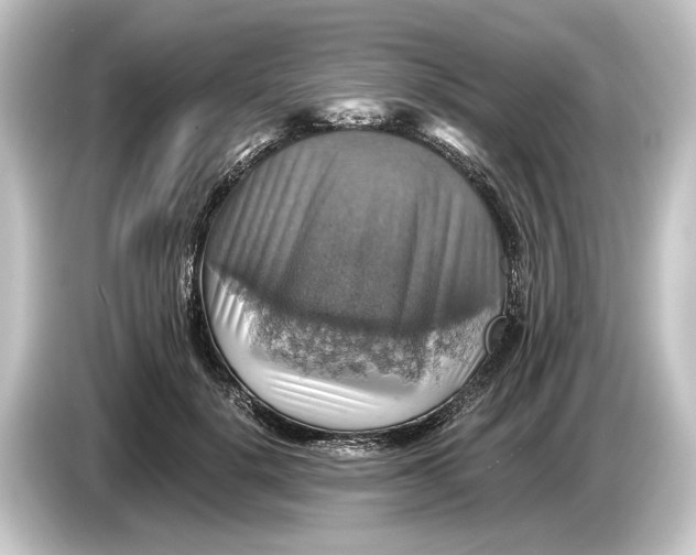 X0000084530652200703161609