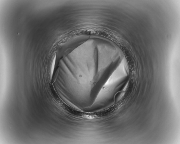 X0000084530654200703161609