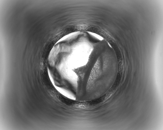 X0000084530655200703161609