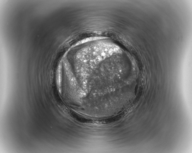 X0000084530656200703161609