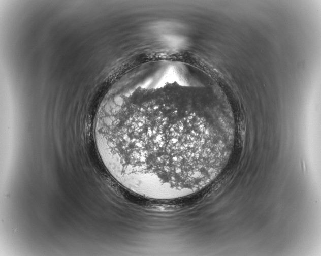 X0000084530657200703161609