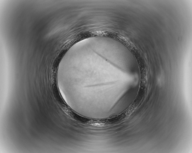 X0000084530658200703161609