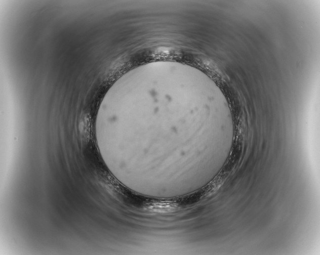 X0000084530659200703161609