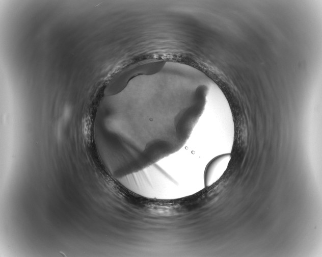 X0000084530661200703161609