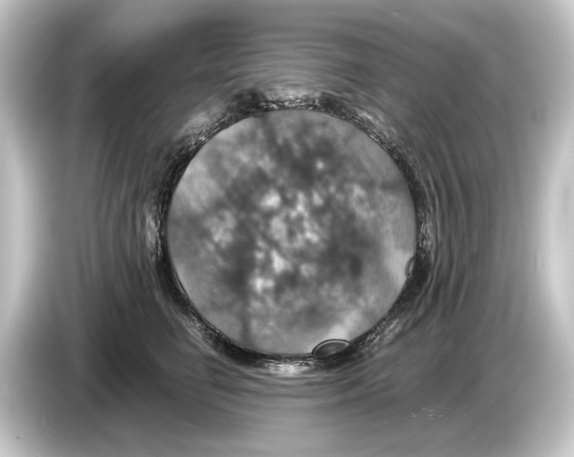 X0000084530662200703161609