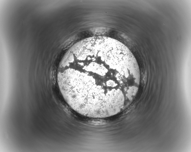 X0000084530666200703161609