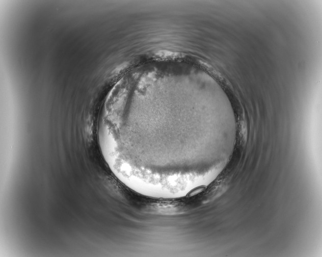 X0000084530668200703161609