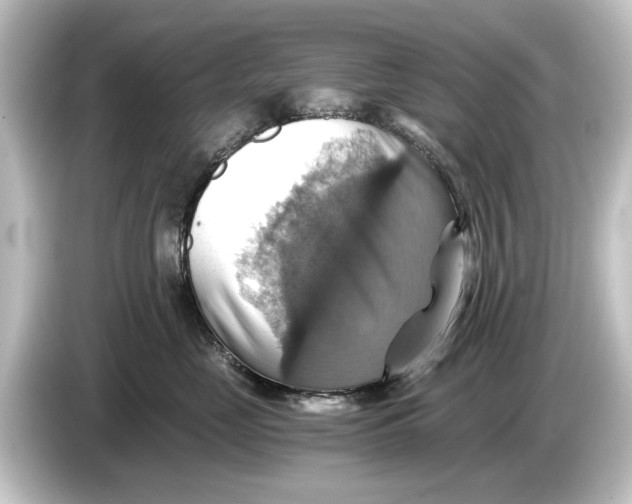 X0000084530669200703161609