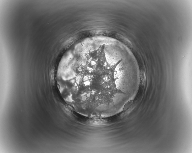 X0000084530670200703161609