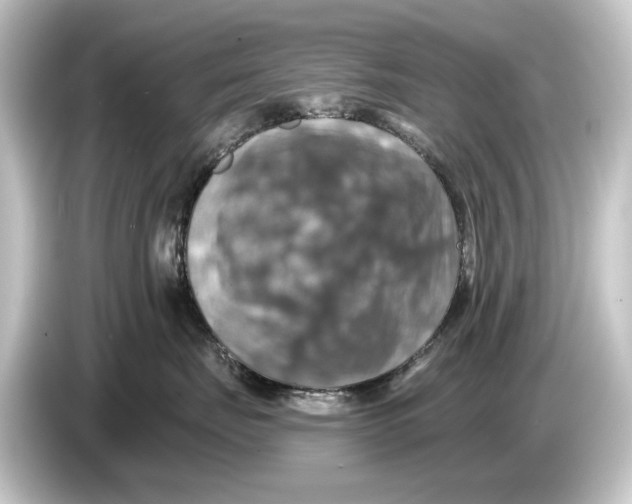 X0000084530671200703161609