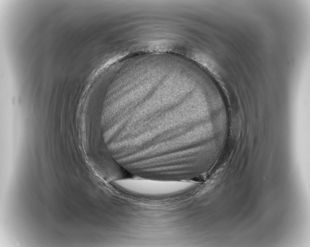 X0000084530673200703161609