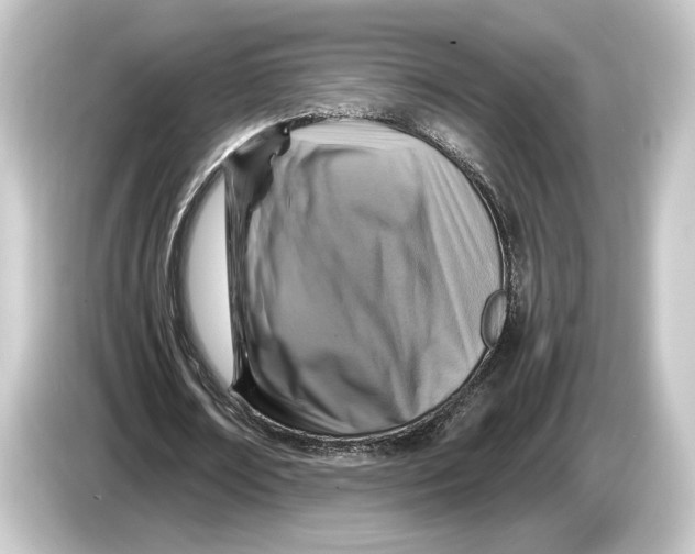 X0000084530674200703161609