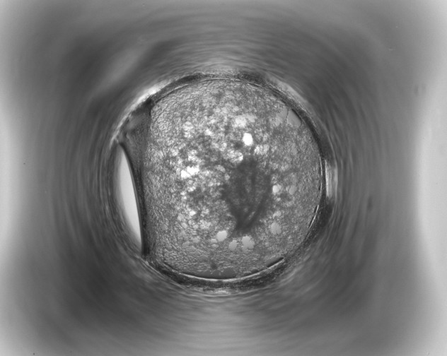 X0000084530675200703161609