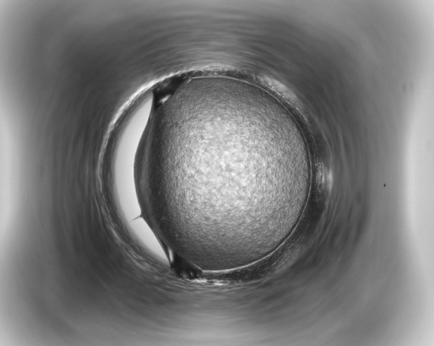 X0000084530676200703161609