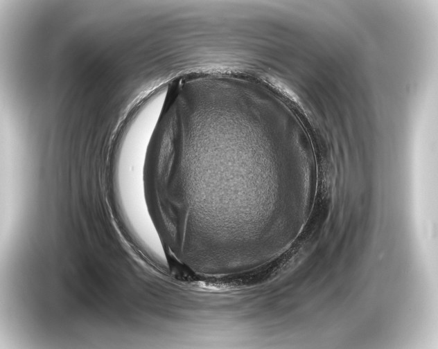 X0000084530677200703161609