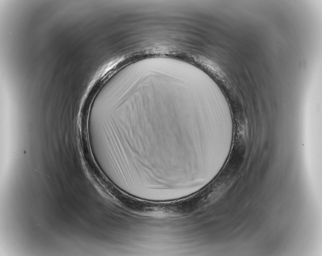 X0000084530678200703161609