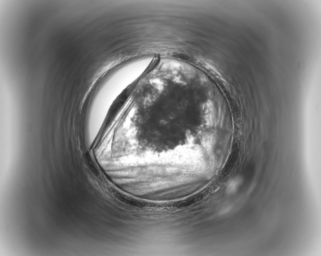 X0000084530679200703161609