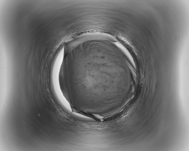 X0000084530681200703161609